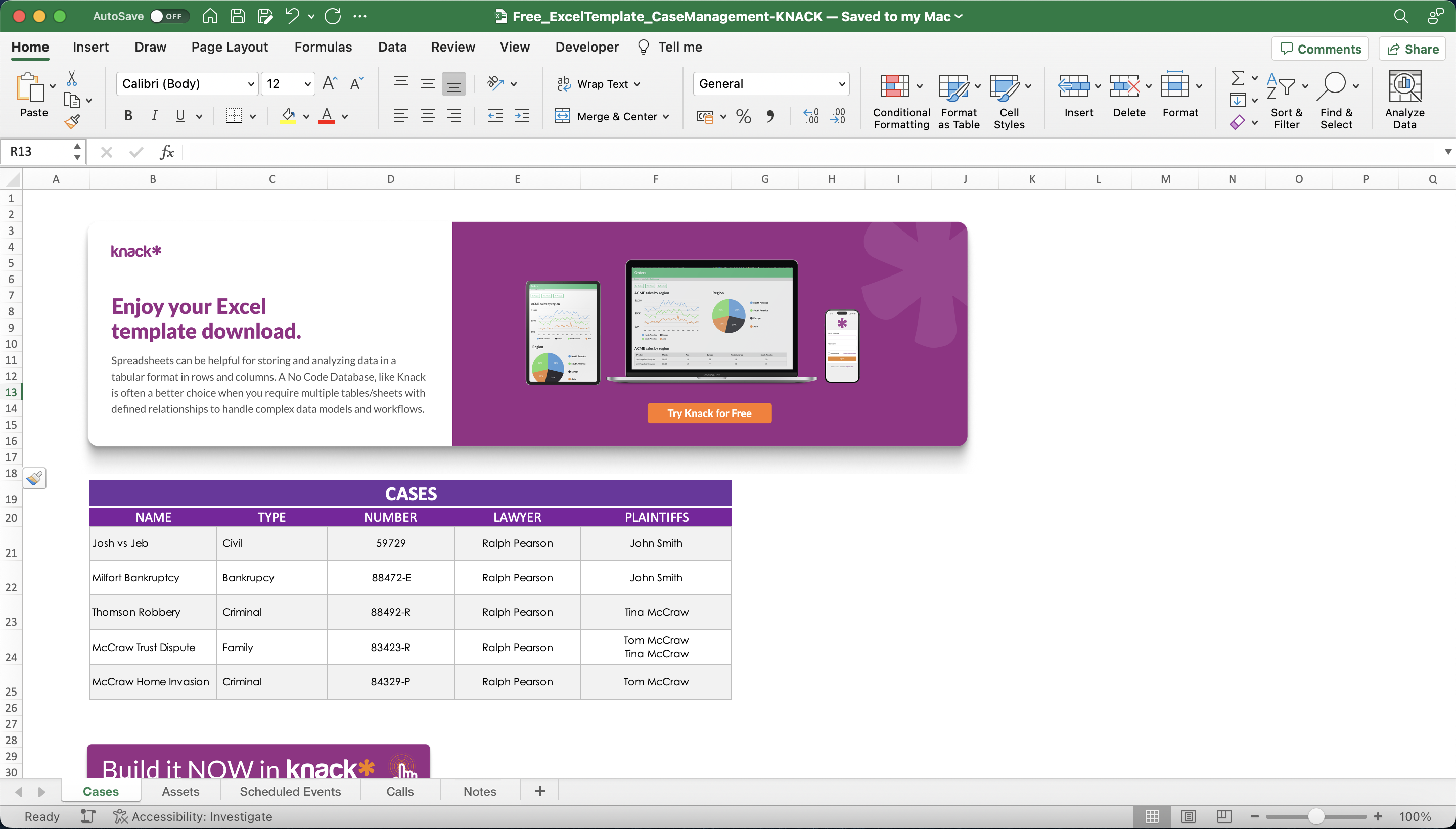 Case Management Spreadsheet Template