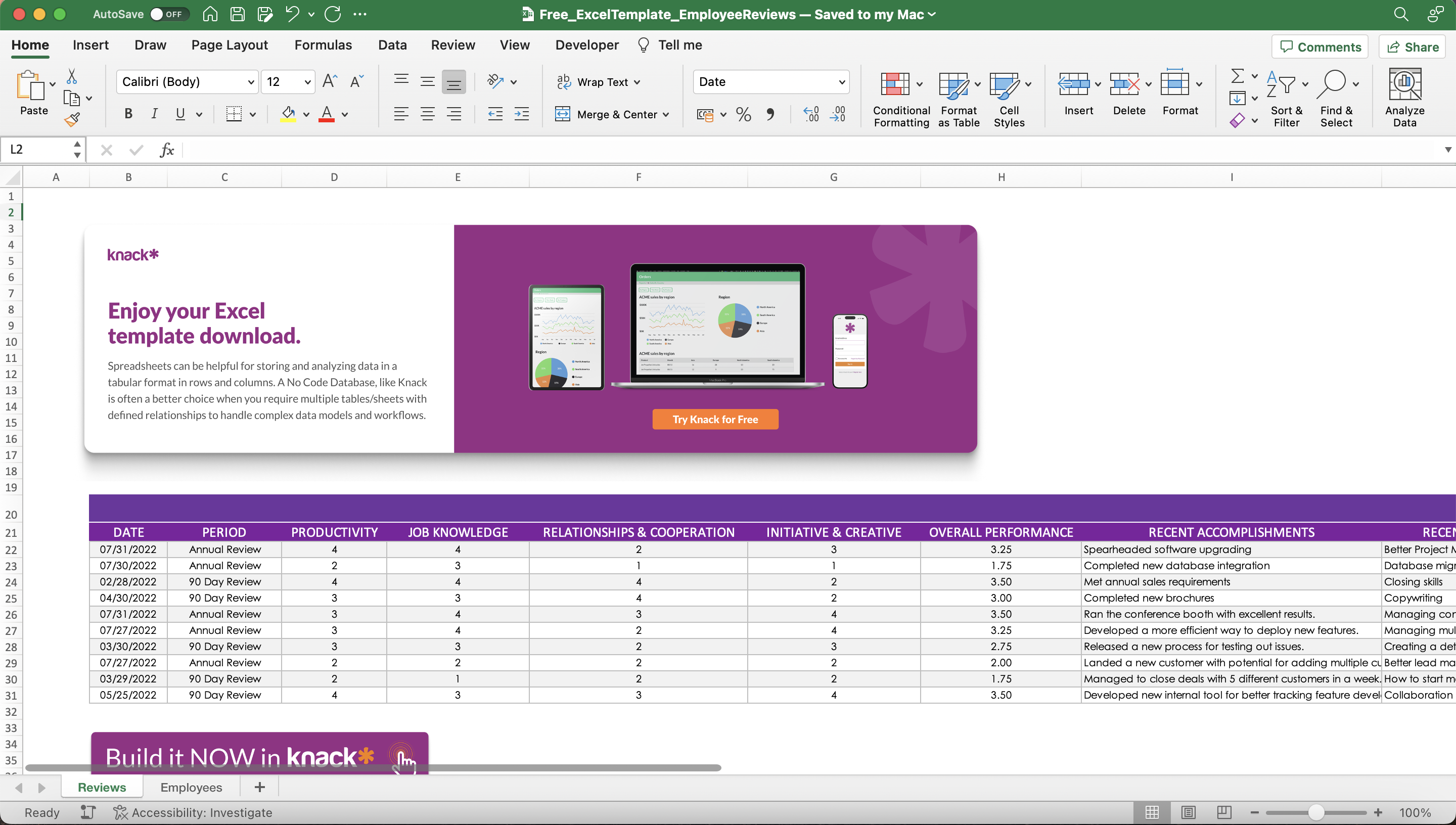 Excel Spreadsheet Template for Employee Reviews