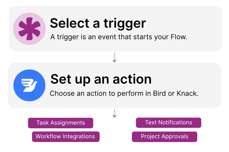 Knack Bird Integration