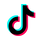 TikTok Icon Small